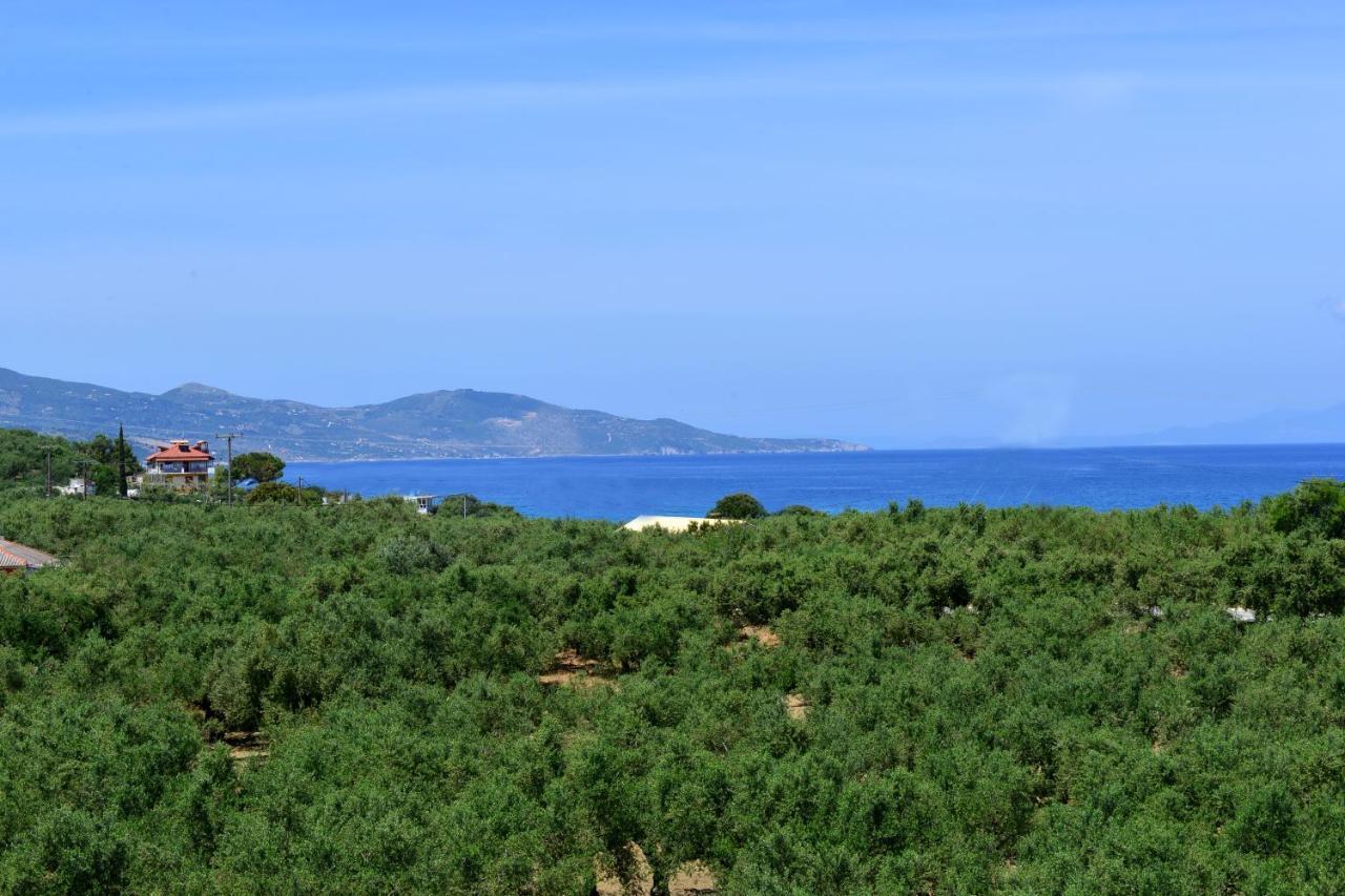 Asteria Apartments Zakintos Dış mekan fotoğraf